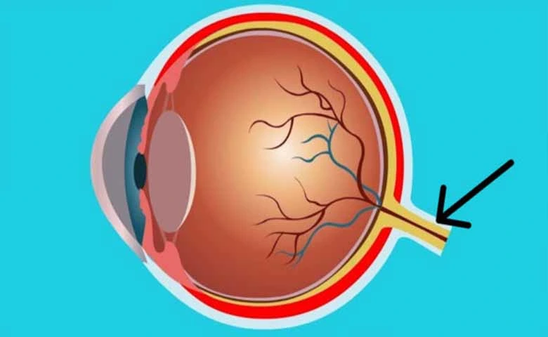 أعصاب العيون